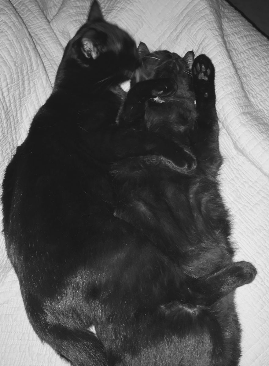 Sibling Love Sibling Love