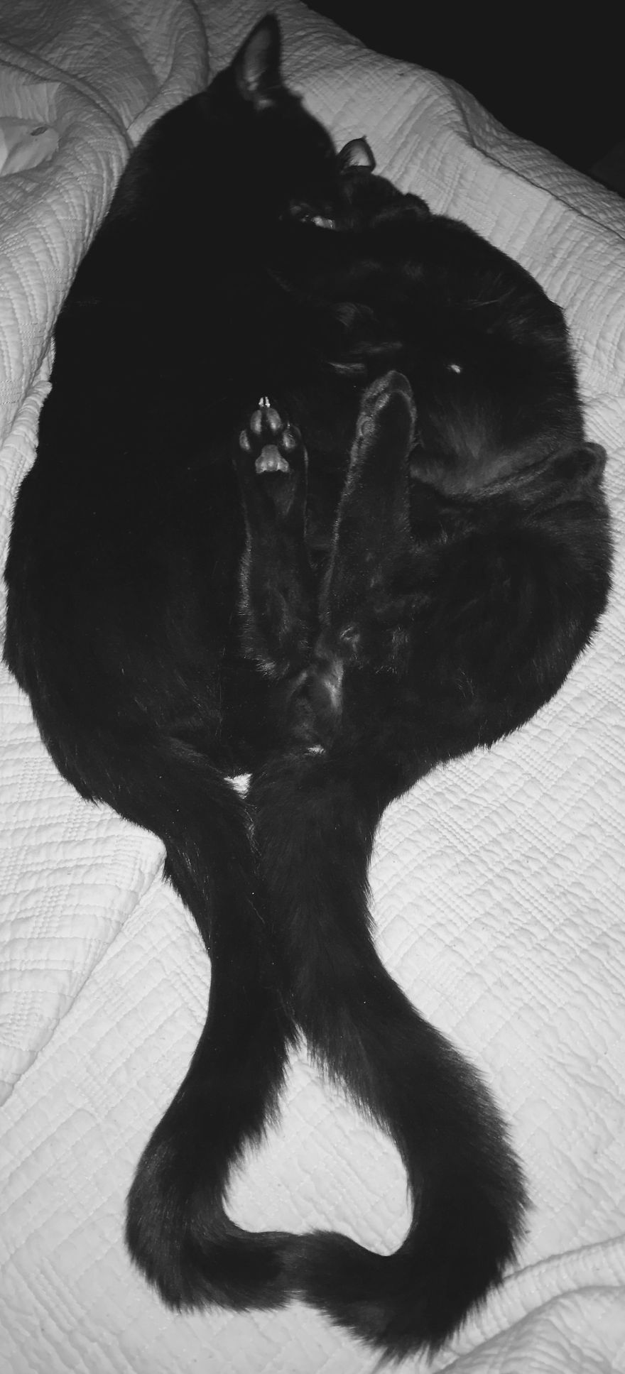 Sibling Love Sibling Love