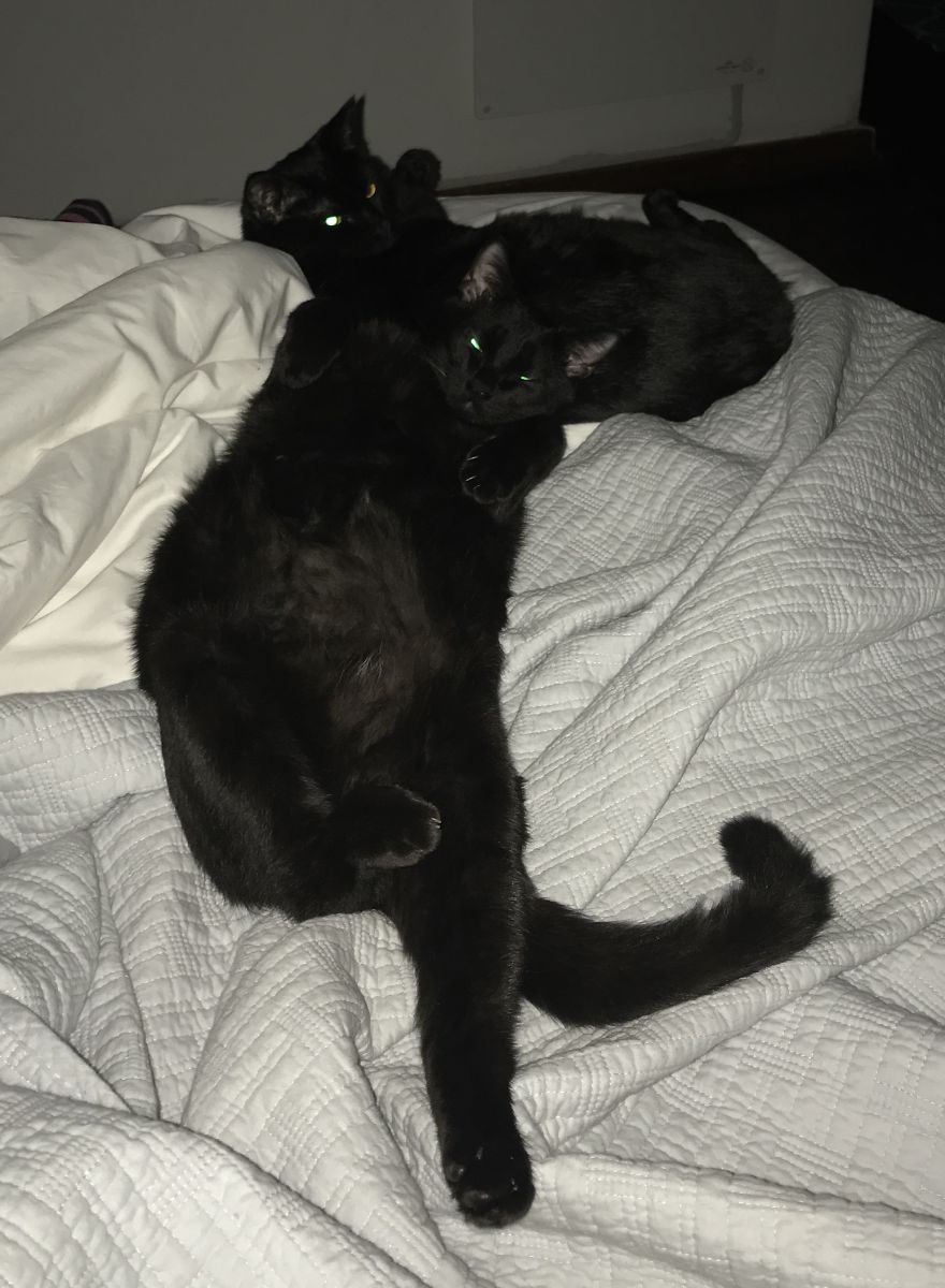 Sibling Love Sibling Love