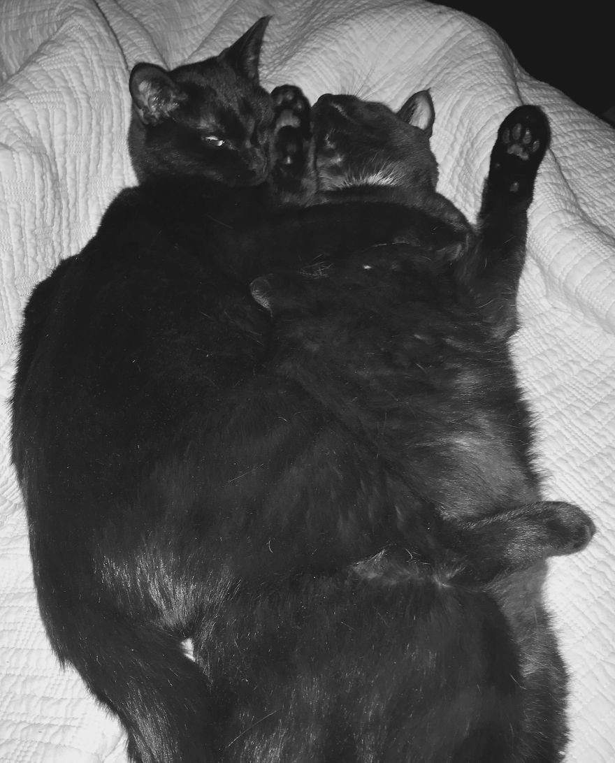 Sibling Love Sibling Love