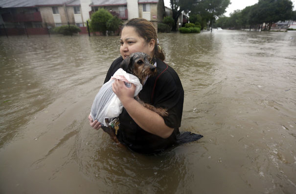 Houston-Flooding-59a42c8a72ea8.jpg