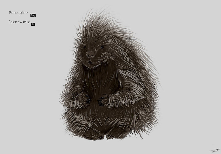 I Drew Animals You've Probably Forgotten About