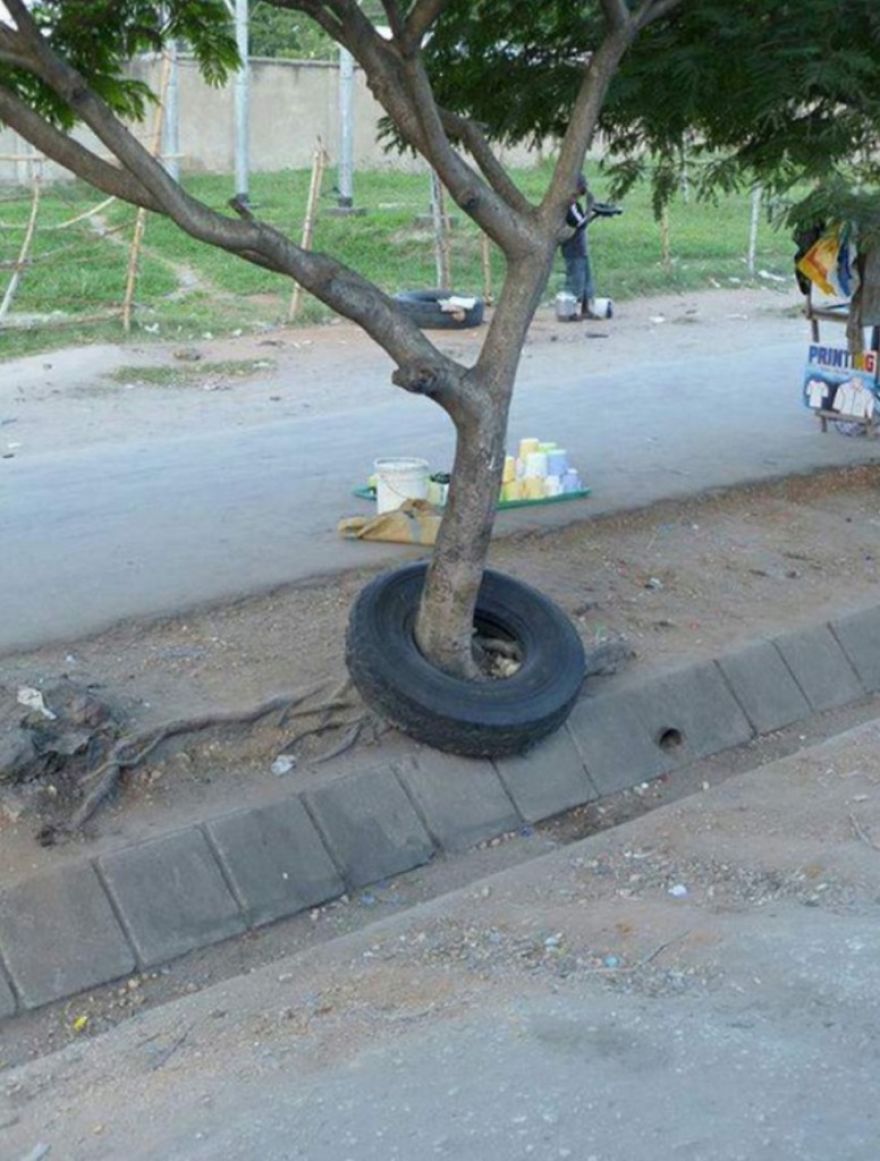 How Did This Tire Get Around This Tree?