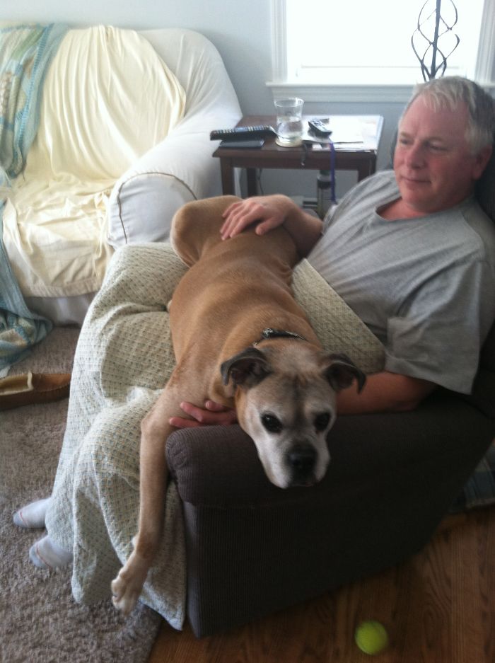 These Two Are My Dad And My Boxerdog Max Who Recently Passed Away