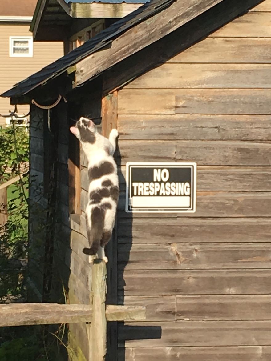 Pip Can't Read.