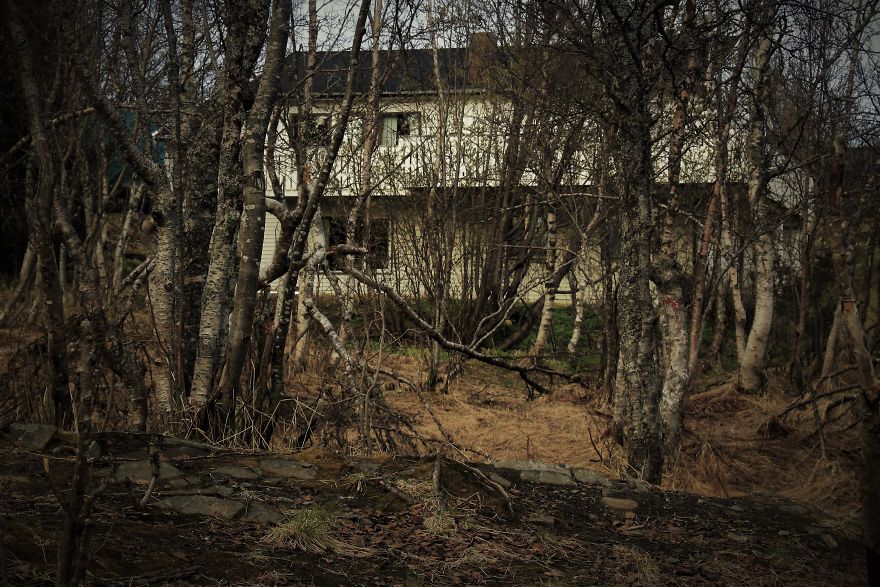 Strange Springforest