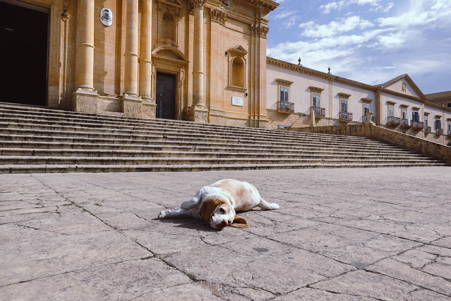 I'm A Full-Time Traveler And My Dog Is Too I'm A Full-Time Traveler And My Dog Is Too