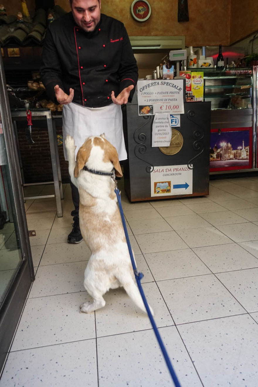 I'm A Full-Time Traveler And My Dog Is Too I'm A Full-Time Traveler And My Dog Is Too