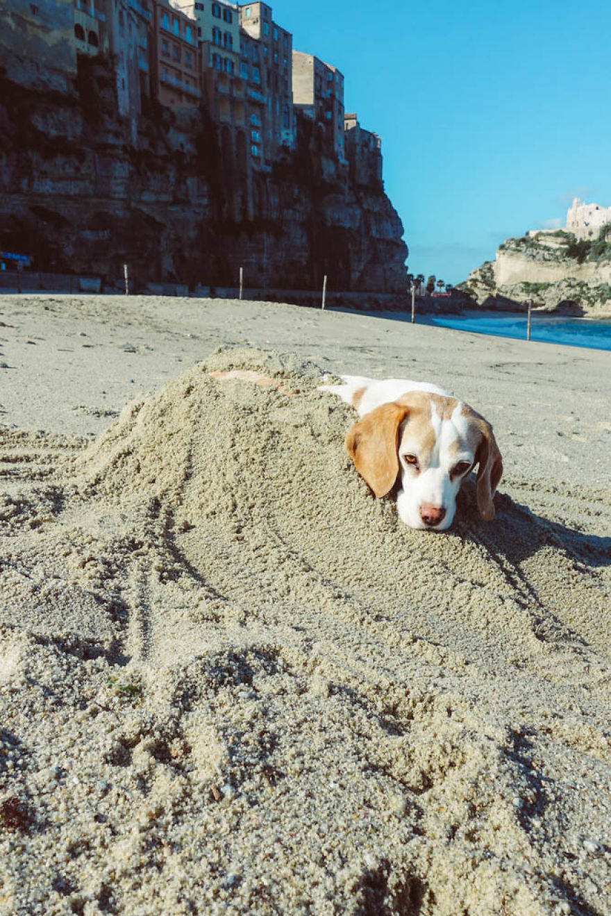 I'm A Full-Time Traveler And My Dog Is Too I'm A Full-Time Traveler And My Dog Is Too