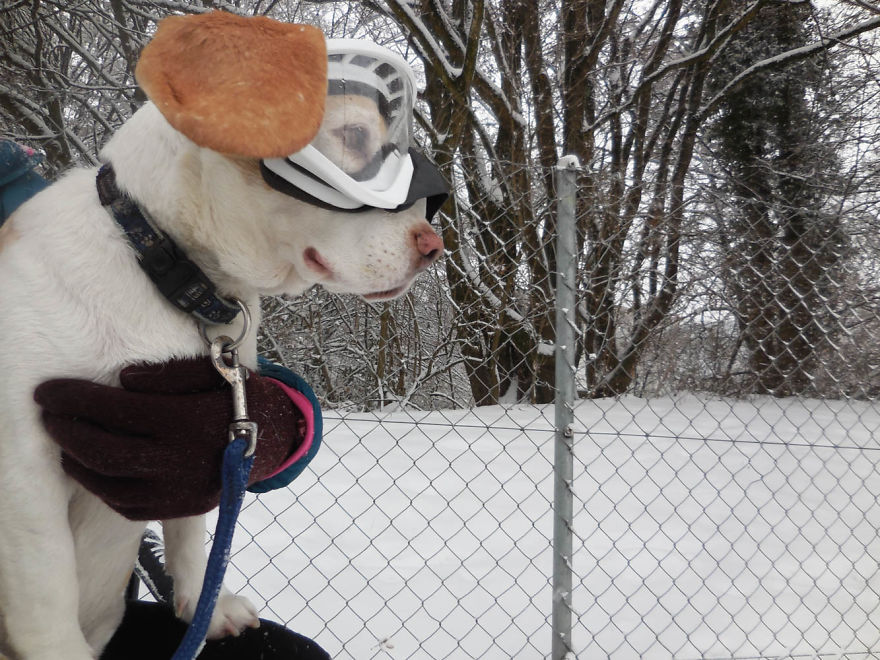 I'm A Full-Time Traveler And My Dog Is Too I'm A Full-Time Traveler And My Dog Is Too