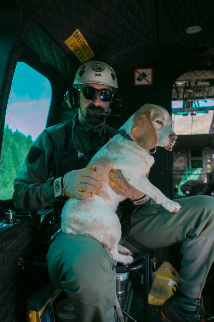 I'm A Full-Time Traveler And My Dog Is Too I'm A Full-Time Traveler And My Dog Is Too