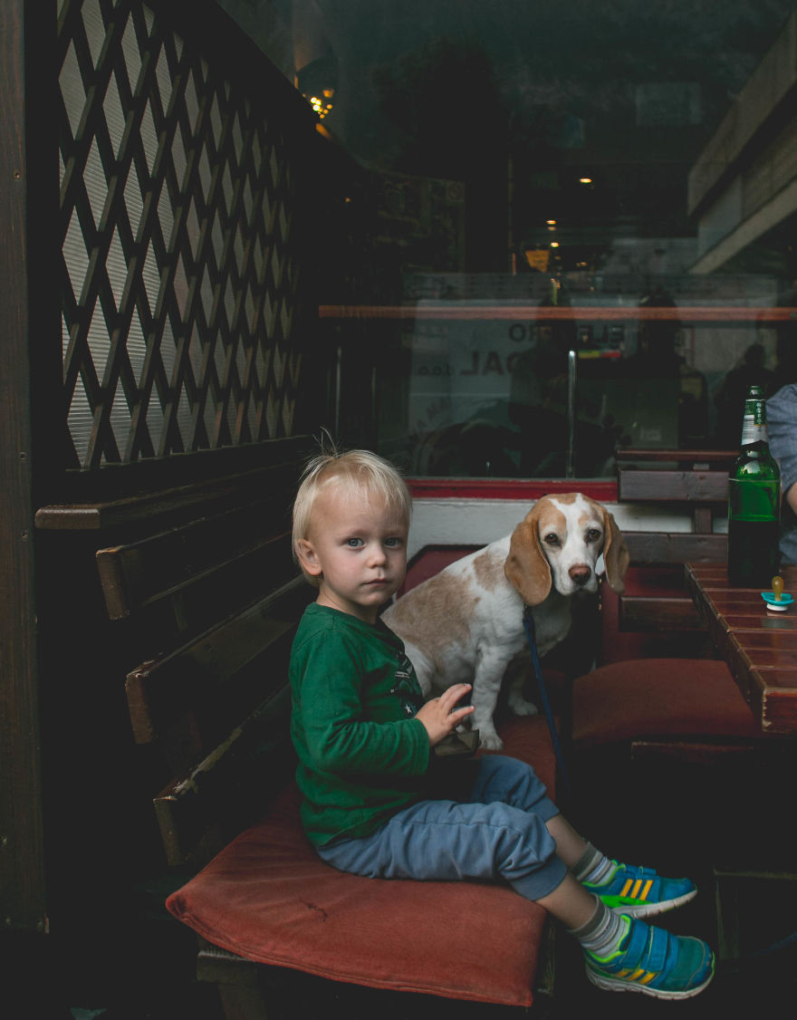 I'm A Full-Time Traveler And My Dog Is Too I'm A Full-Time Traveler And My Dog Is Too