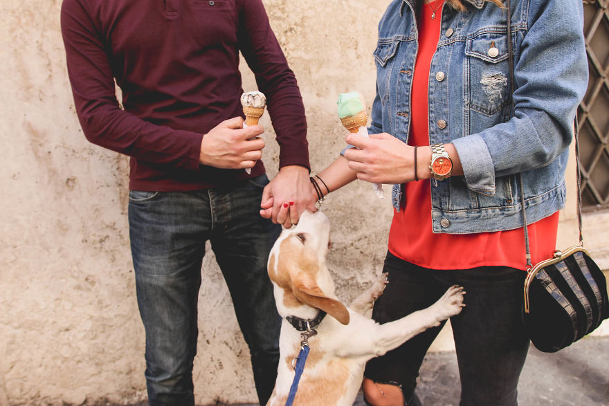 I'm A Full-Time Traveler And My Dog Is Too I'm A Full-Time Traveler And My Dog Is Too