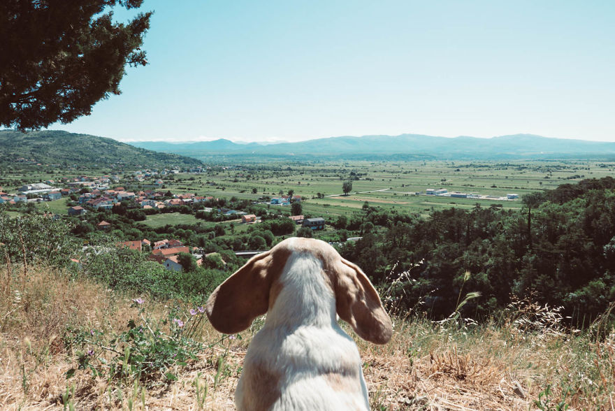 I'm A Full-Time Traveler And My Dog Is Too I'm A Full-Time Traveler And My Dog Is Too