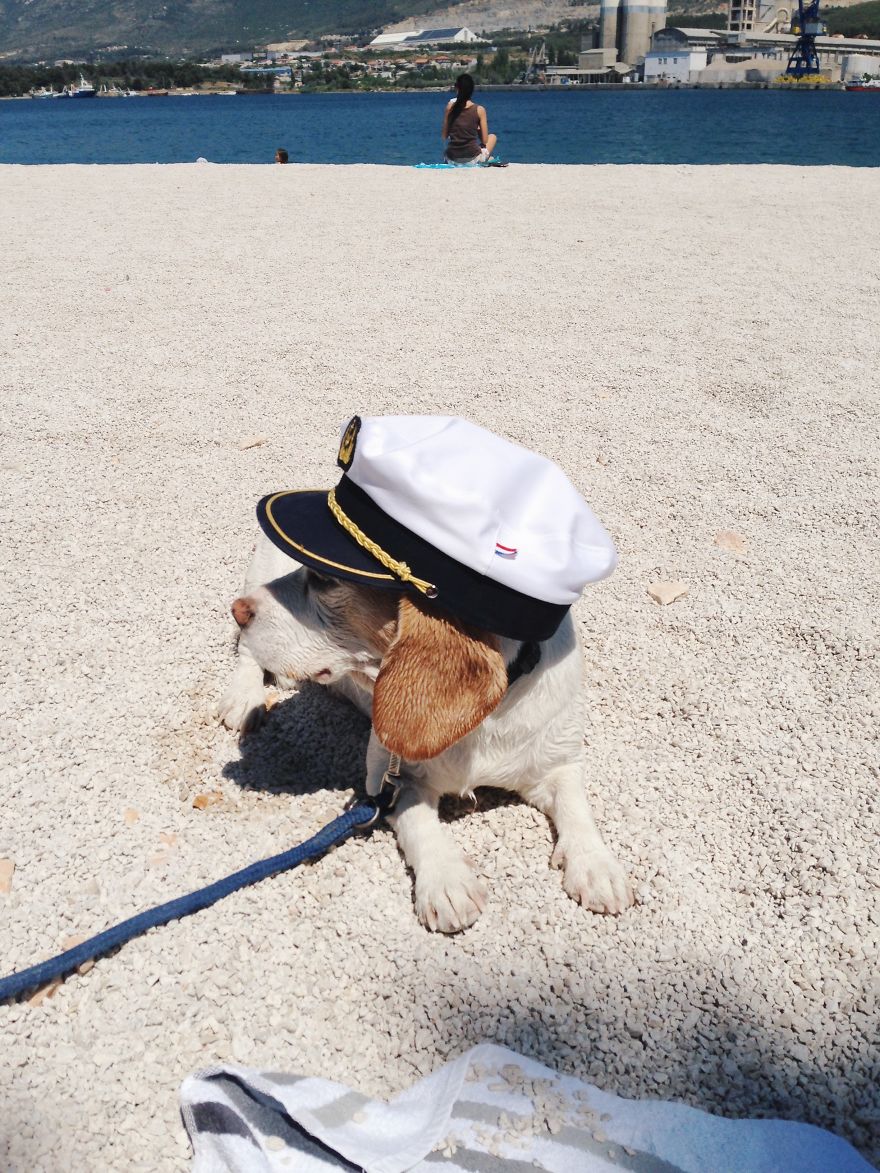 I'm A Full-Time Traveler And My Dog Is Too I'm A Full-Time Traveler And My Dog Is Too