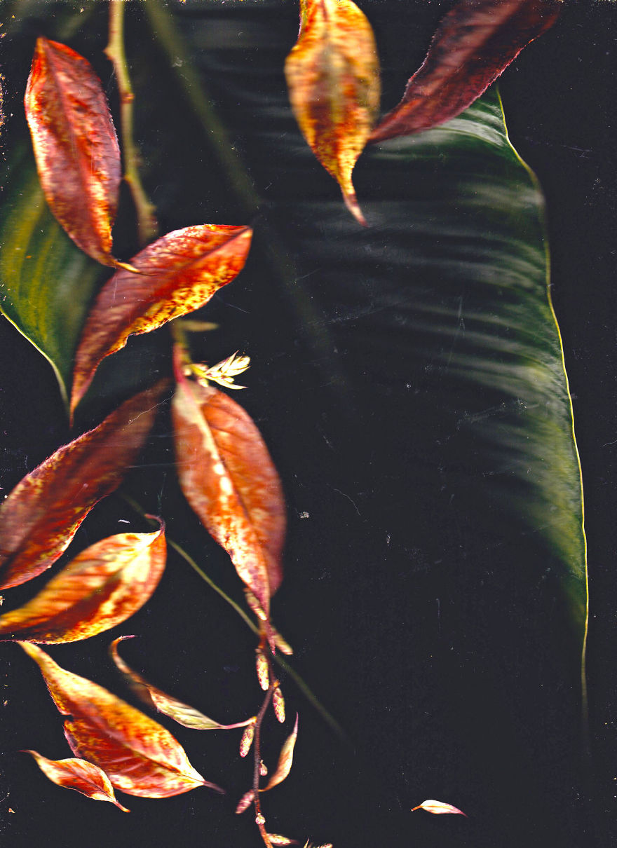 In Search Of Something (Scanning Experiments)