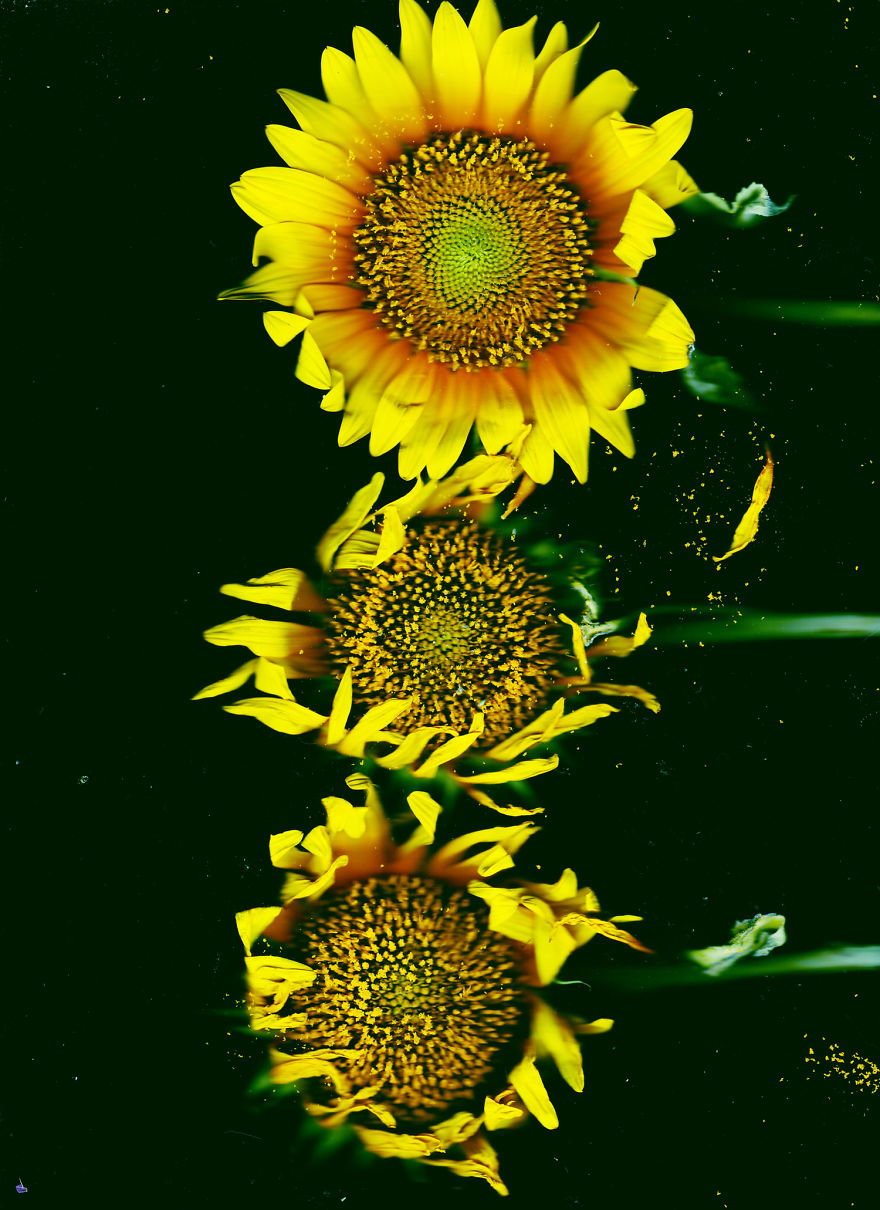 In Search Of Something (Scanning Experiments)