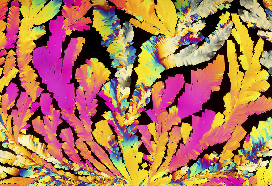 I've Spent The Past Year Photographing Crystalized Substances Through My Microscope