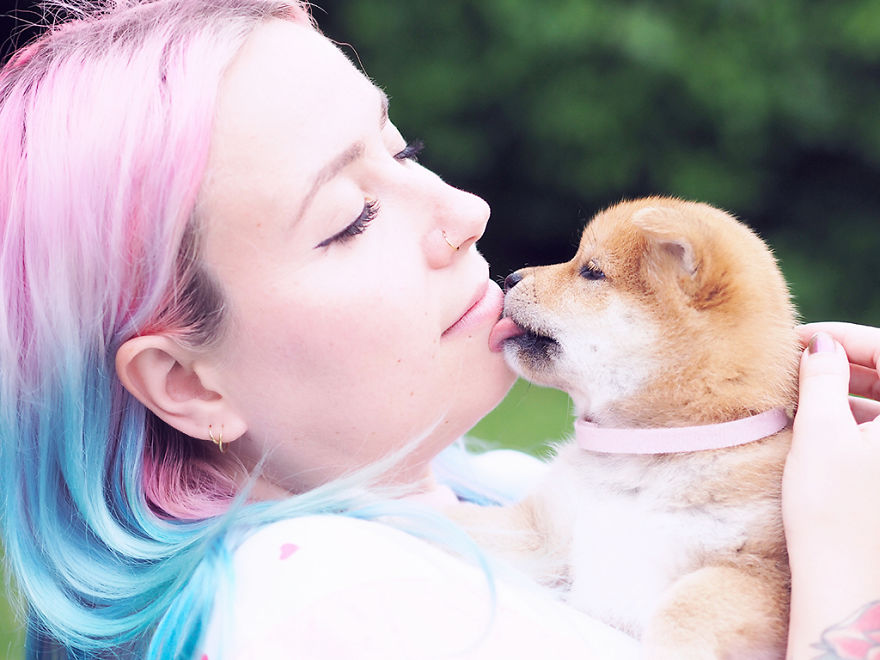 Nanami The Doge