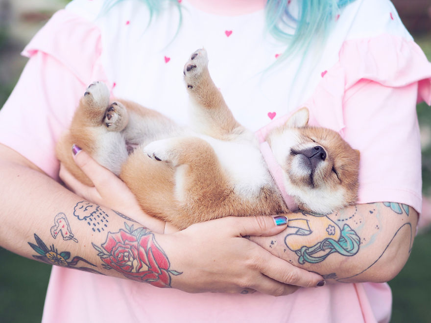 Nanami The Doge