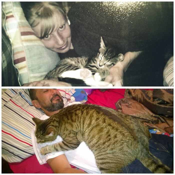 I Couldn't Resist Adding Another One Of Pussy. Cuddles Sure Have Changed In 7 Years!
