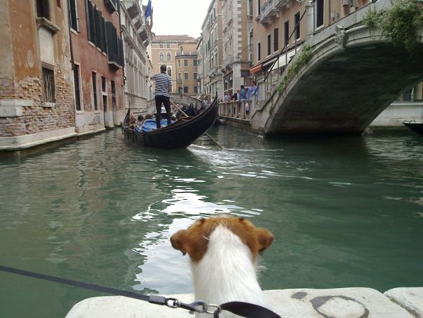 Checking What Buzz Is About Venice, Italy... Nope, No Bones Here...