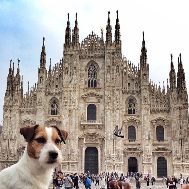 Mr. Traveller Reporting From Duomo Di Milano, Italy
