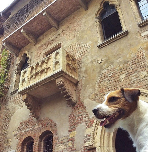 O Miss. Traveller, Miss. Traveller! Wherefore Art Thou Miss. Traveller? Verona Italy, Mr.traveller Checking Juliet's Balcony…