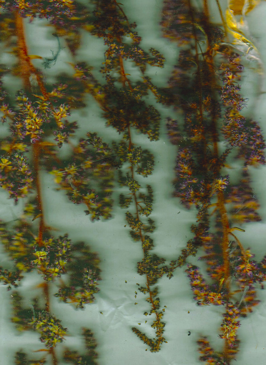 In Search Of Something (Scanning Experiments)