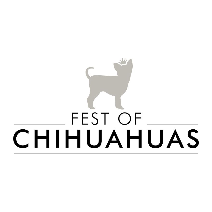 Someone Threw A Festival Just For Chihuahuas And The Pictures Will Make Your Day.