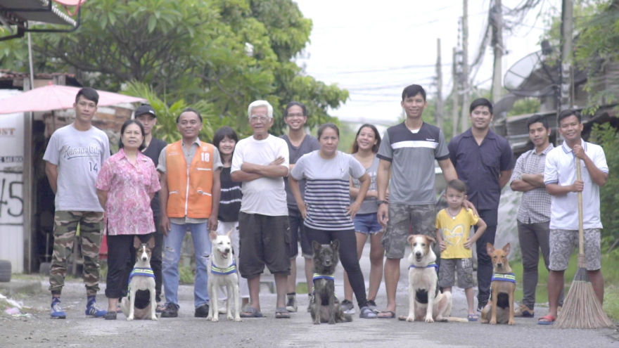 Thailand Has Turned Stray Dogs Into Watchdogs Thailand Has Turned Stray Dogs Into Watchdogs