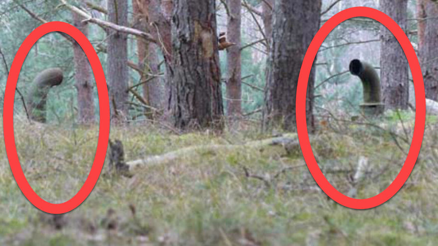Two Guys Found This In The Woods And Below It Was A Terrifying Secret