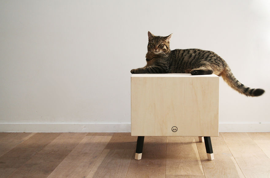 We Thought About Cat Furniture That Won't Cramp Your Home Interior