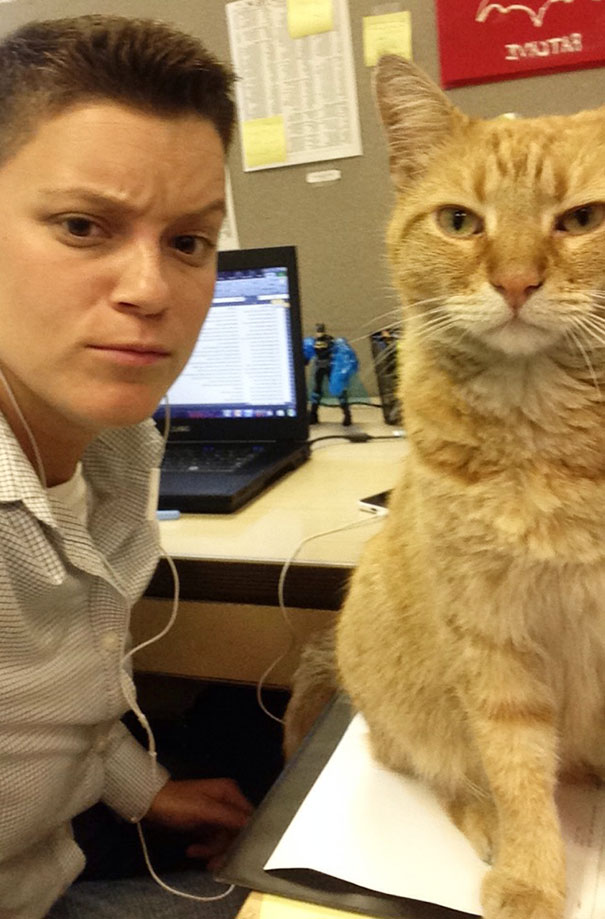 Selfie With Tom, The Office Cat