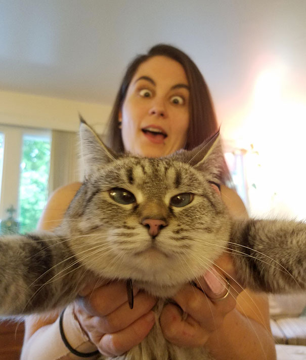 Taking A Selfie With My Derpface Human