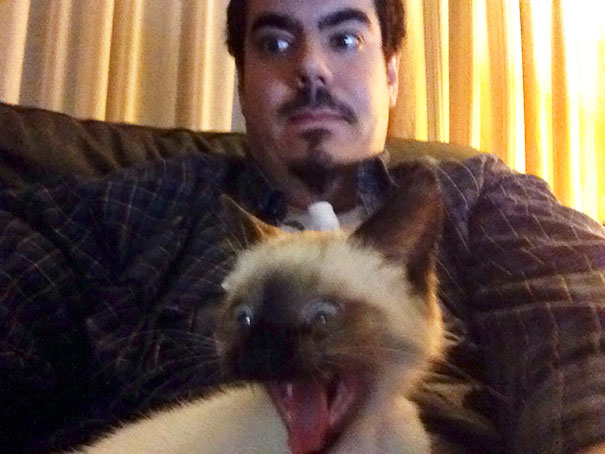 I Tried To Take A Selfie With My Cat... Hilarity Ensued