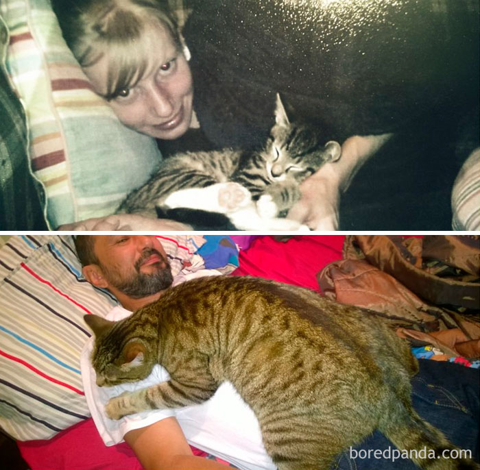 I Couldn't Resist Adding Another One Of Pussy. Cuddles Sure Have Changed In 7 Years