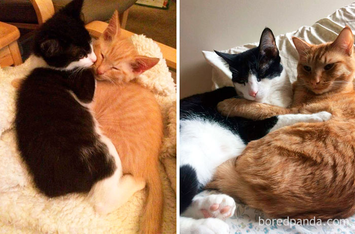 The Day They Were Rescued, And 3 Years Later