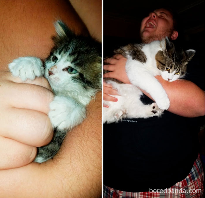 Same Kid, Same Cat One Year Later
