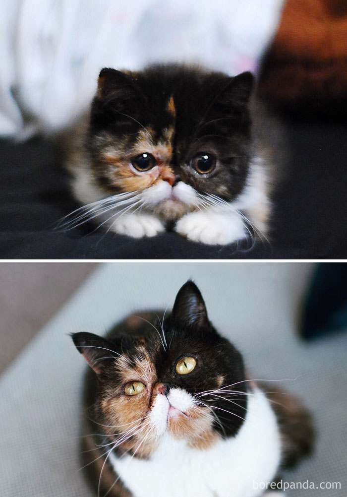 Pudge, The Girl With A Moustache Then And Now
