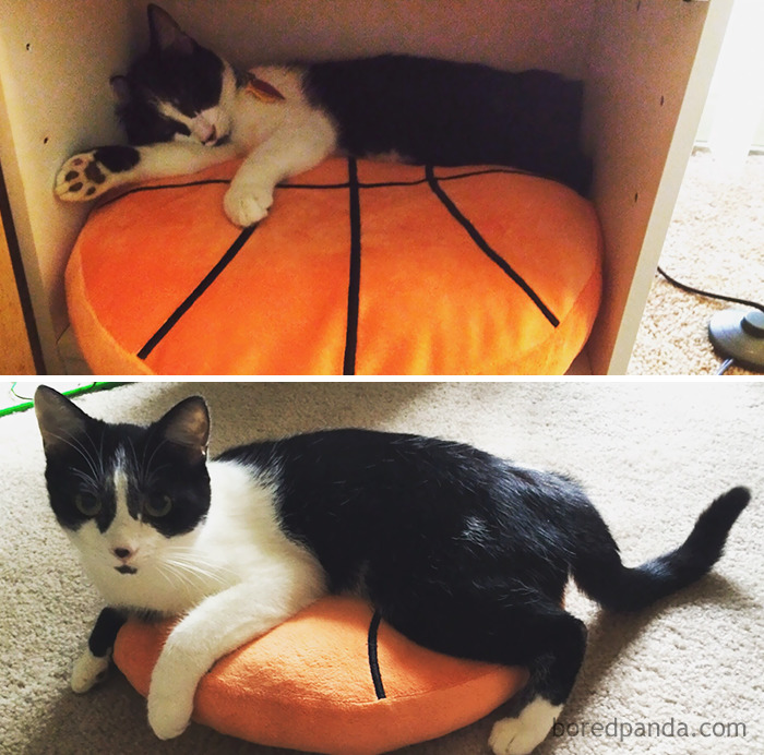 Same Pillow, One Year Later