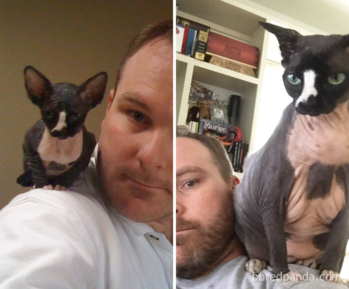 6 Years Later, Still Loves To Sit On My Shoulder