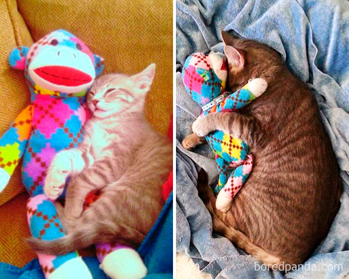 Mykos And Mr. Monkey. Then And Now