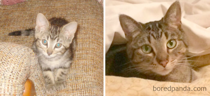 Dorie, Then And Now