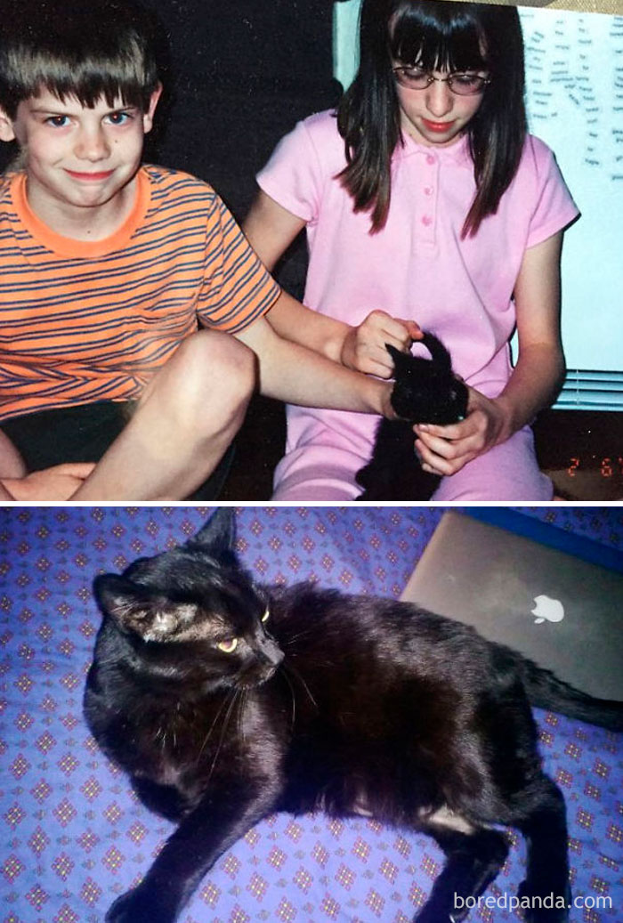 Midnight Five Weeks Old In 2002 And Thirteen Years Old 2015 (Passed Away In July Same Year)
