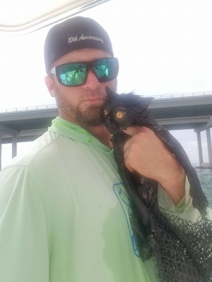 Somebody Apparently Threw This Cat Off The Bridge, But Luckily This Boat Captain Spotted Her