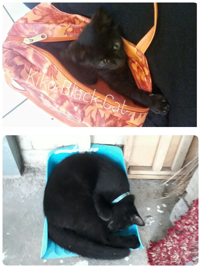 When He Is A Month (Fit In A Pouch) And Now 6 Months (Roll In Dustbin)
