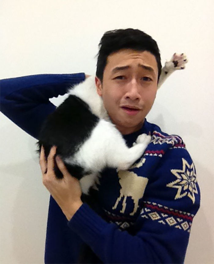 Foto navideña con el gato