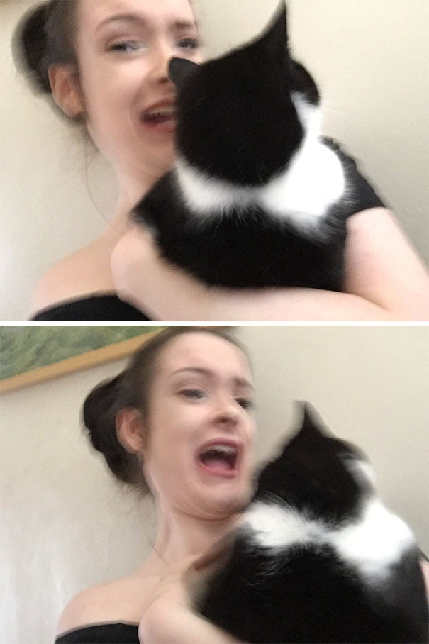 I Tried To Take A Selfie With My Cat And