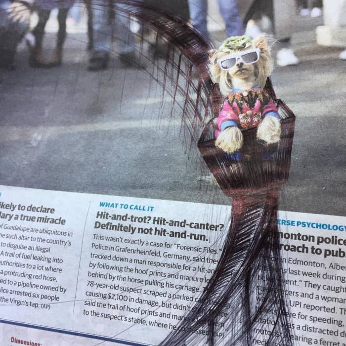 I Doodle Roller Coasters Onto The Daily Paper